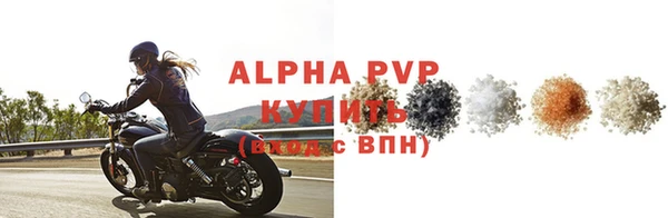 спайс Гусев