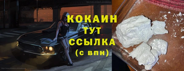 спайс Гусев