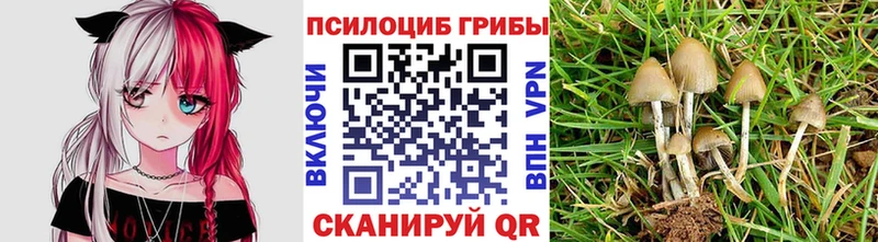 Галлюциногенные грибы ЛСД  Купить  Рыбинск 
